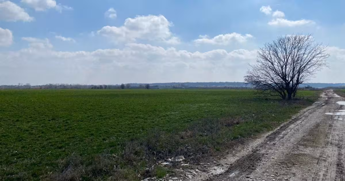 Teren Construcții intravilan de vânzare de 2909 mp, în Gruiu