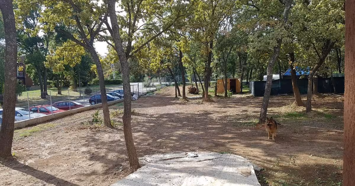 Teren Construcții intravilan de vânzare de 950 mp, în Neptun