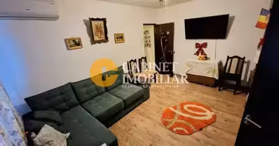 Apartament Alexandru cel Bun