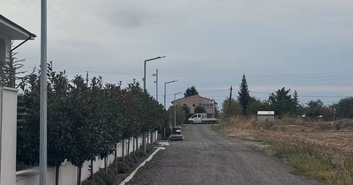 Teren Construcții intravilan de vânzare de 5000 mp, în Dragomirești-Deal