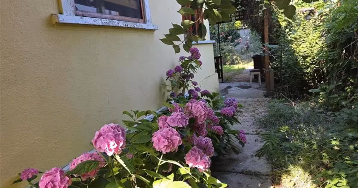 Casă individuală de vânzare cu 2 camere în zona 3 Insule, Arad