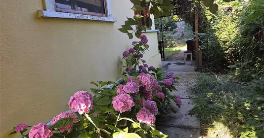 Casă 3 Insule