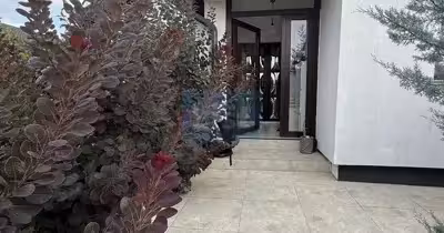 Casă Iosia