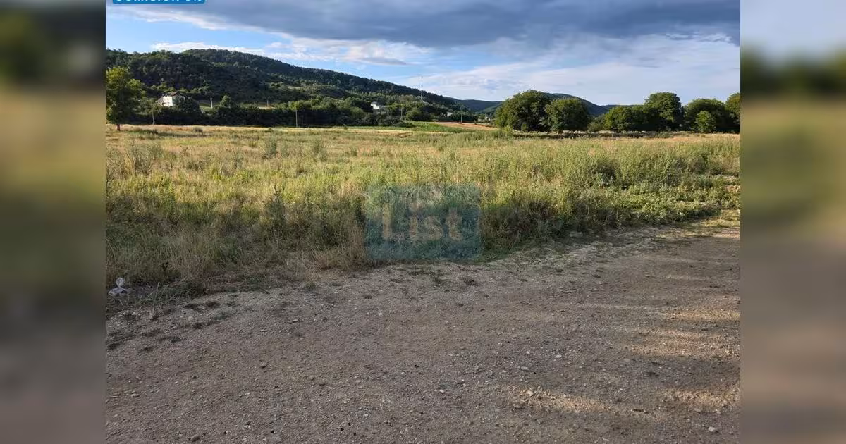 Teren Construcții intravilan de vânzare de 10000 mp, în Conțești