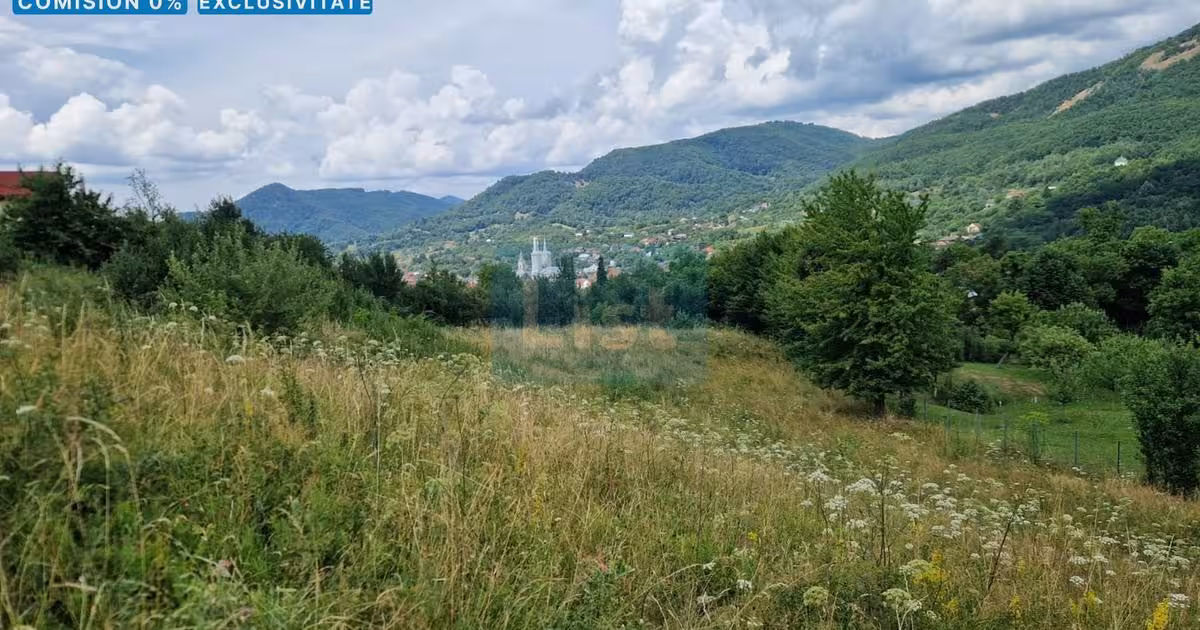 Teren de vânzare de 5268 mp, în Baia Sprie