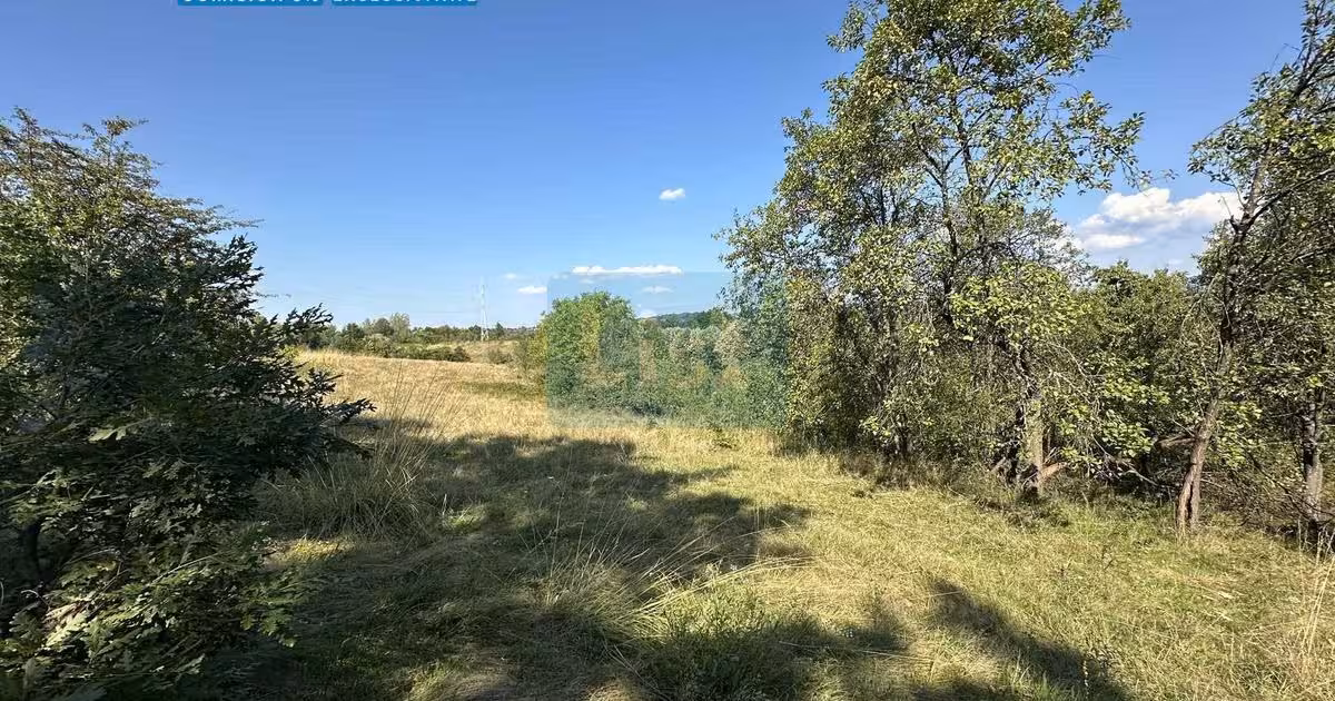 Teren de vânzare de 17260 mp, în zona Calea Caransebeșului, Reșița