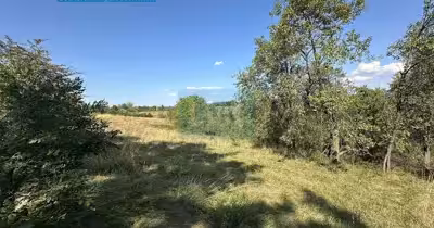 Teren Calea Caransebeșului