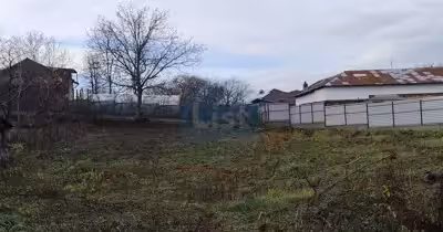 Teren Băicoi