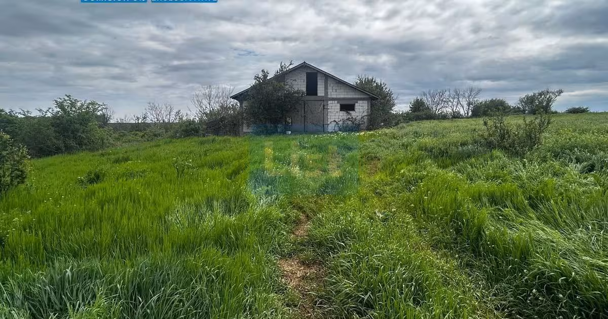 Teren Construcții intravilan de vânzare de 3010 mp, în Balș