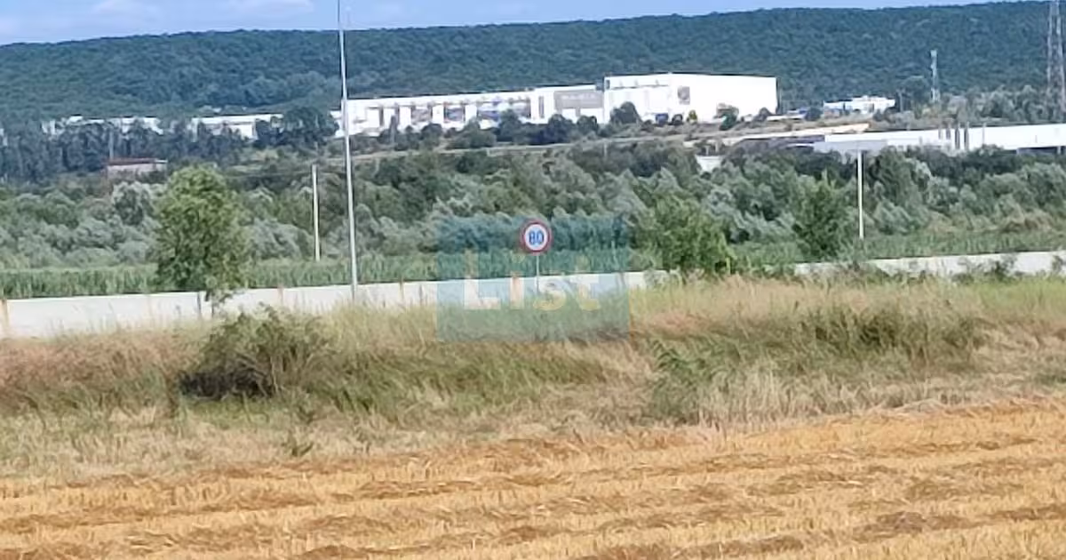 Teren Construcții intravilan de vânzare de 6000 mp, în Micești