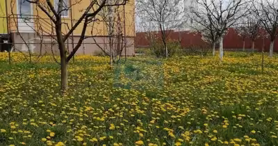 Casă 1 Decembrie