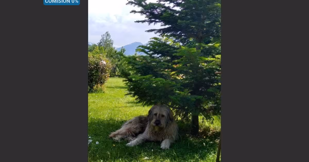 Casă de vânzare cu 5 camere în Dejani