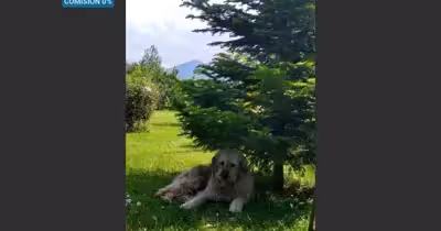 Casă Dejani