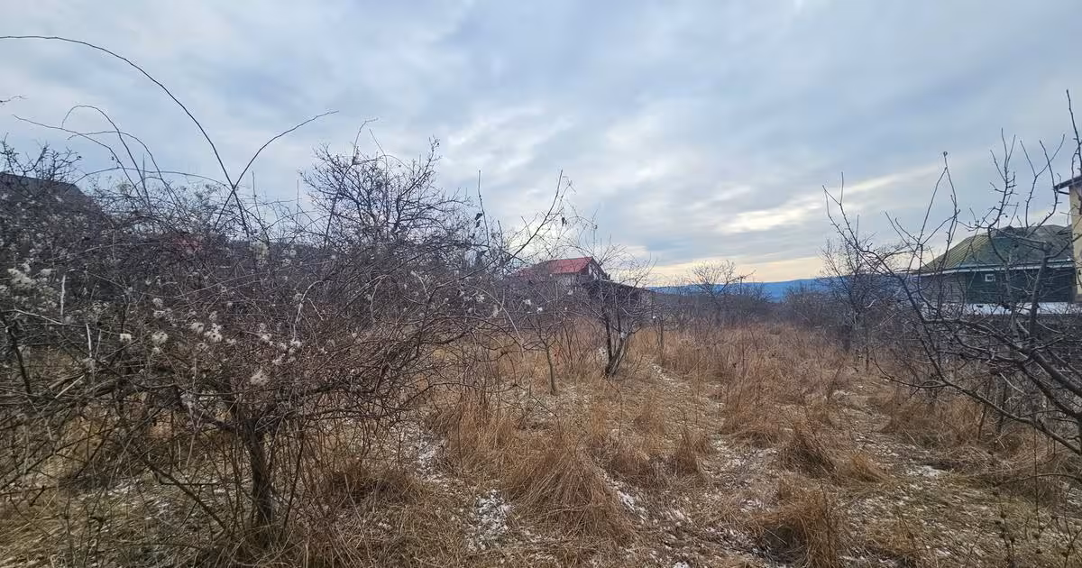 Teren intravilan de vânzare de 2450 mp, în zona Pietrărie, Iași