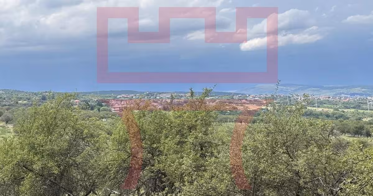 Teren Construcții intravilan de vânzare de 2800 mp, în Feleacu