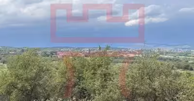 Teren Bună Ziua