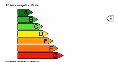 Spațiu comercial Păcurari
