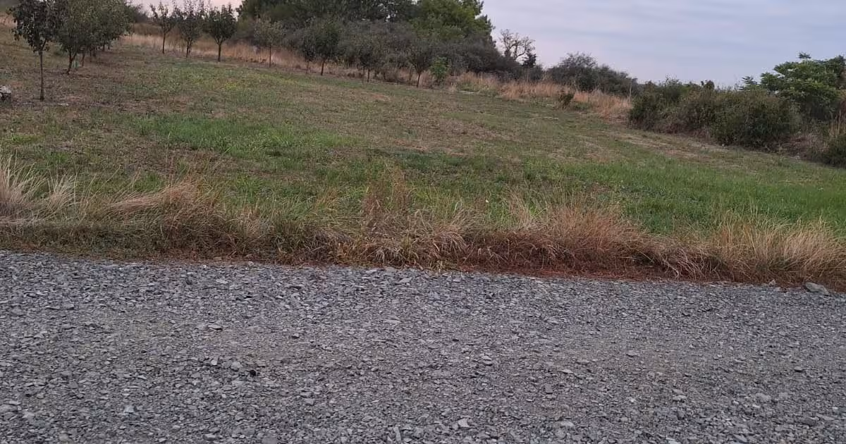 Teren Construcții intravilan de vânzare de 608 mp, în Dumbrăvița