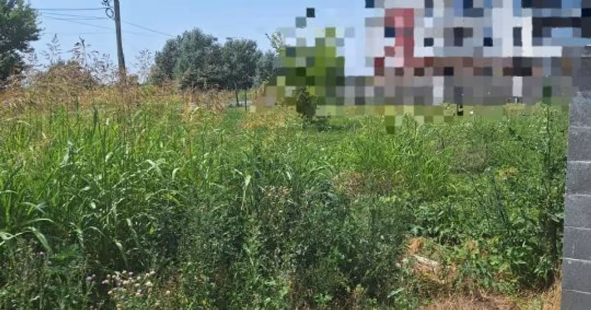 Teren Construcții intravilan de vânzare de 585 mp, în Dumbrăvița