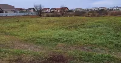 Teren Aradului