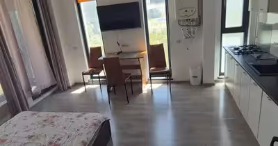 Apartament Central