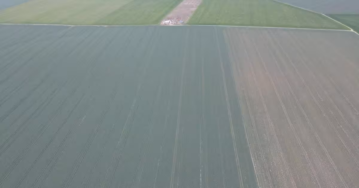 Teren agricol extravilan de vânzare de 40000 mp, în Giarmata