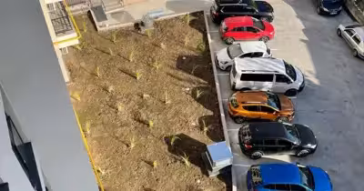 Garsonieră Dacia