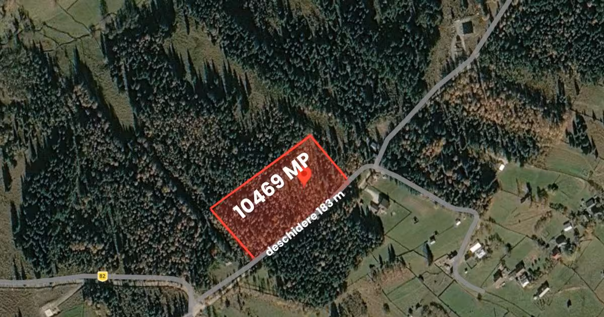 Teren extravilan de vânzare de 10469 mp, în Vatra Dornei