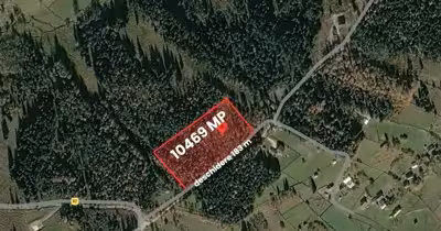 Teren Sud