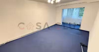 Apartament Zorilor