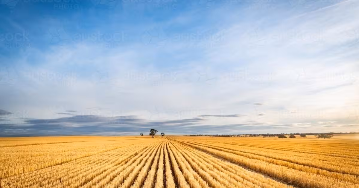 Teren agricol extravilan de vânzare de 30000000 mp, în Dăbuleni