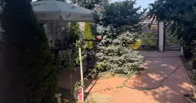 Casă Central