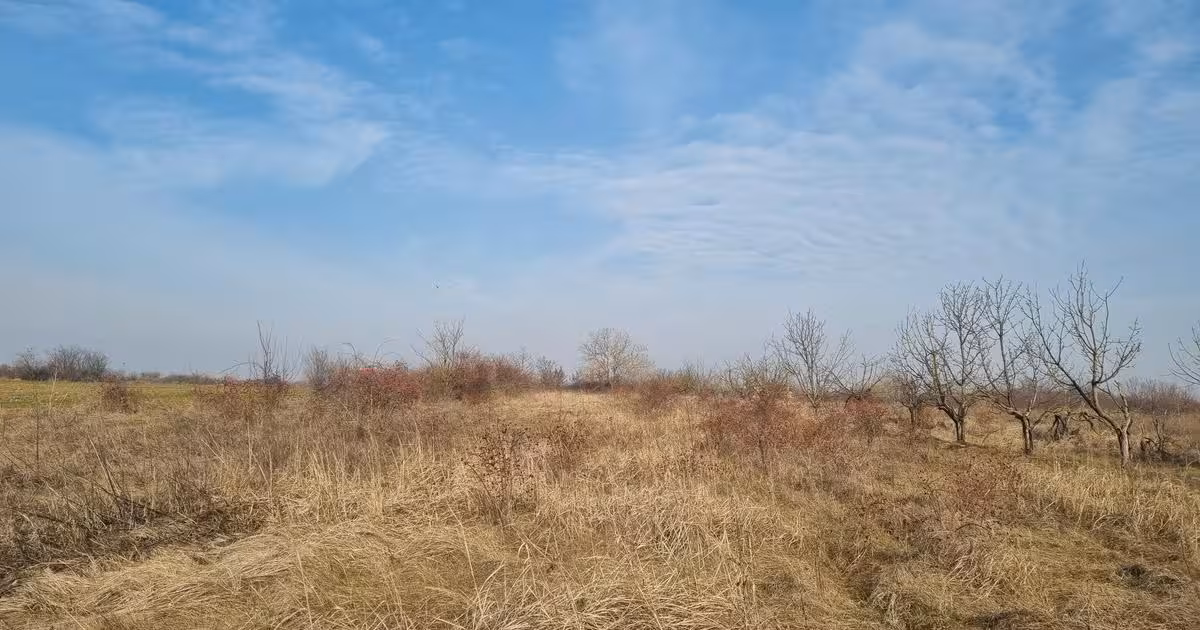 Teren Construcții intravilan de vânzare de 2500 mp, în Adunații-Copăceni