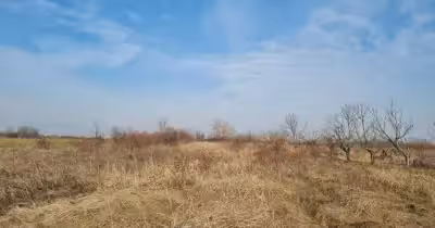 Teren Adunații-Copăceni