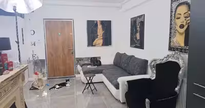 Apartament Vitan