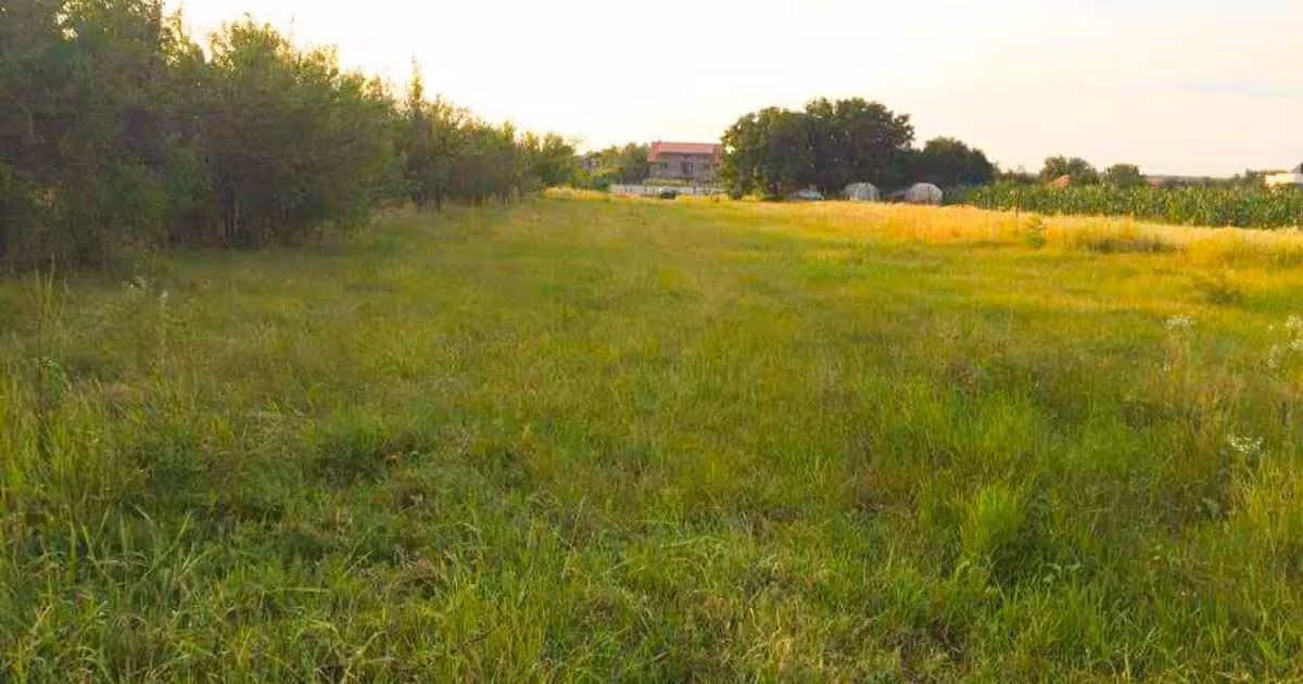 Teren Construcții intravilan de vânzare de 3277 mp, în Ciofliceni