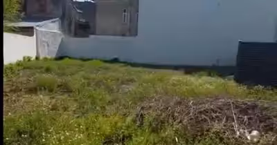 Casă Unirii