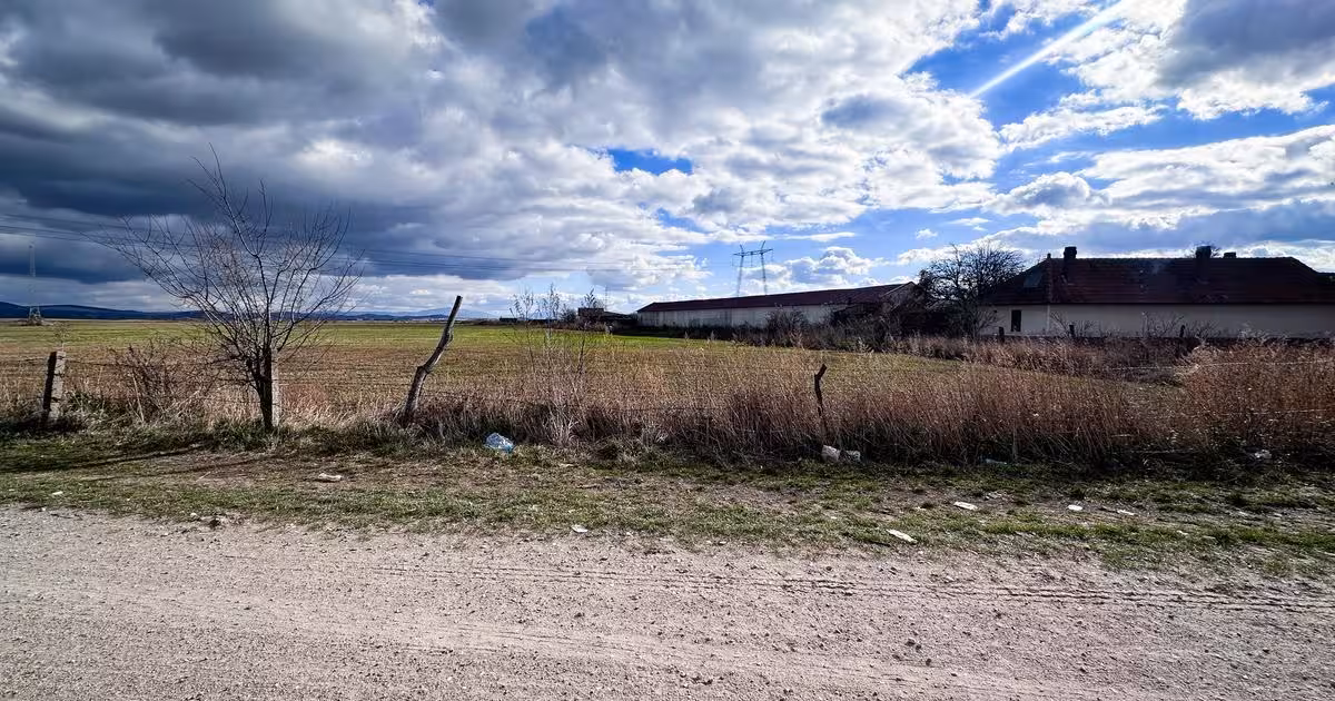 Teren agricol intravilan de vânzare de 5000 mp, în Hălchiu