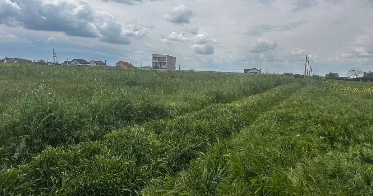 Teren Construcții intravilan de vânzare de 1000 mp, în Tuzla