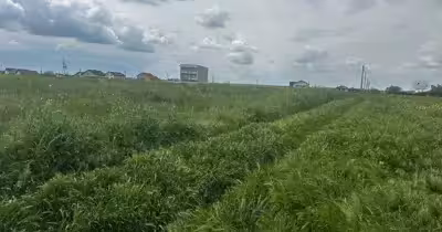 Teren Peninsulă