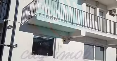 Casă Plevnei