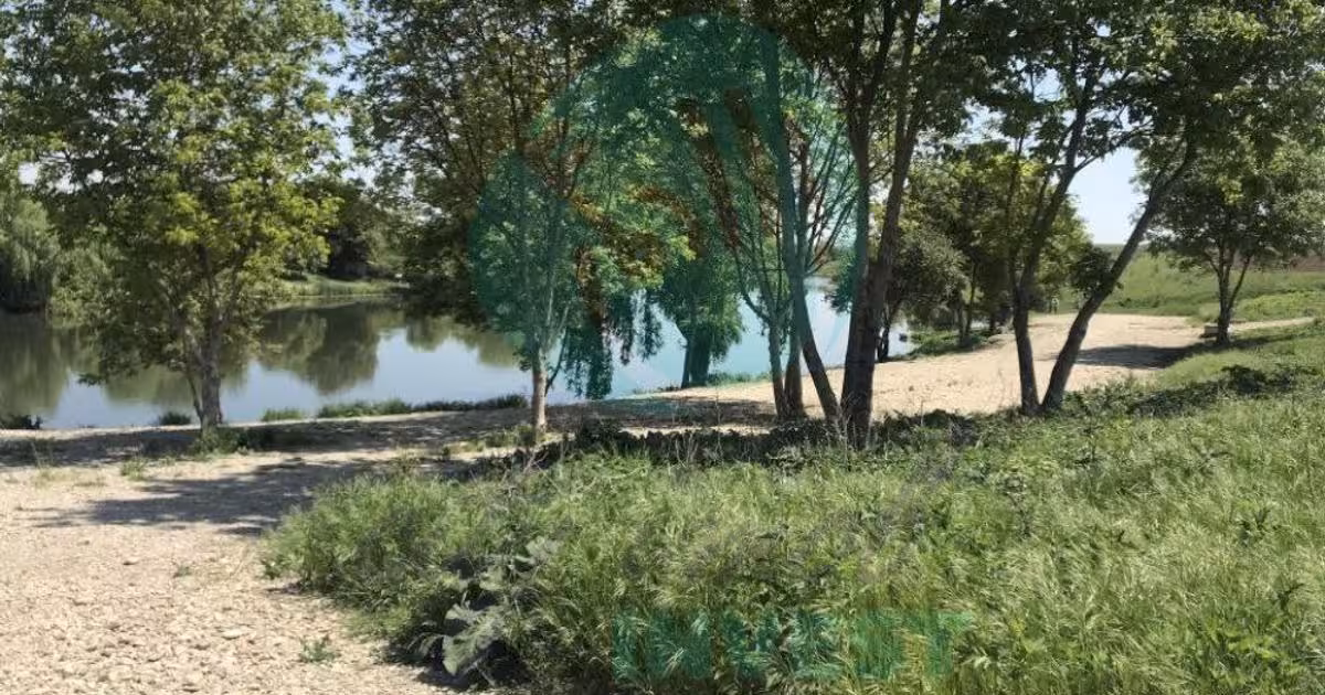 Teren Construcții intravilan de vânzare de 650 mp, în Moara Domnească