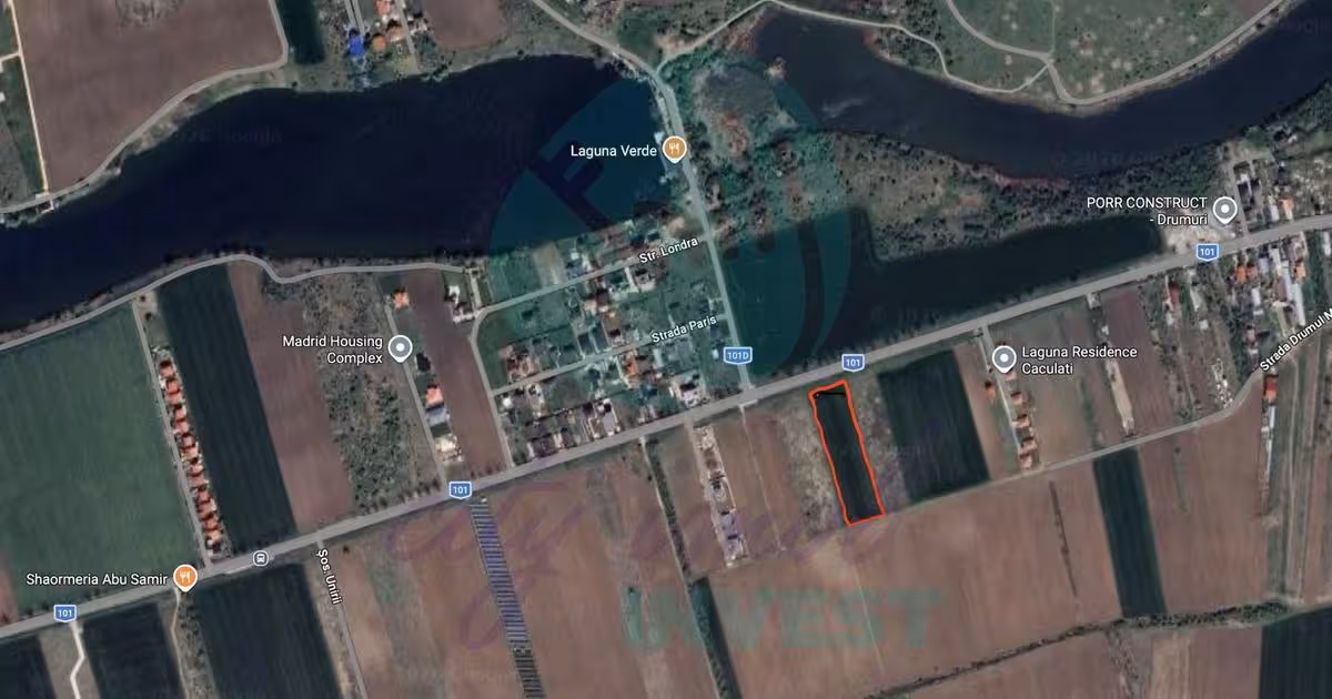 Teren Construcții intravilan de vânzare de 6439 mp, în Moara Vlăsiei