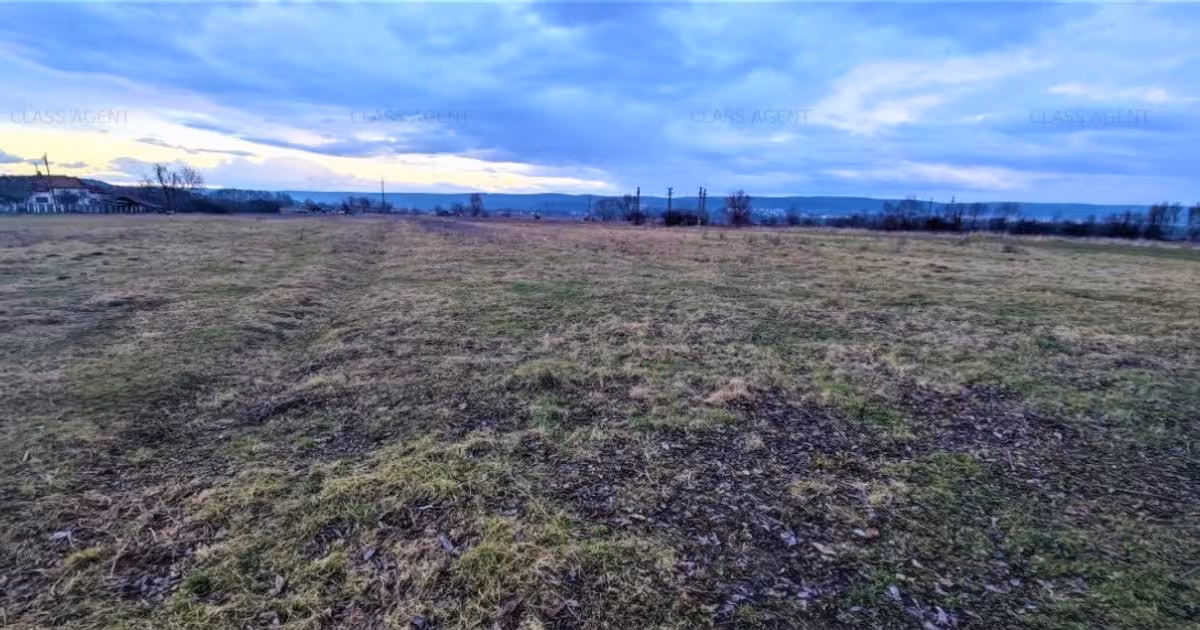 Teren Construcții intravilan de vânzare de 4806 mp, în Mioveni