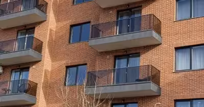 Apartament Iris