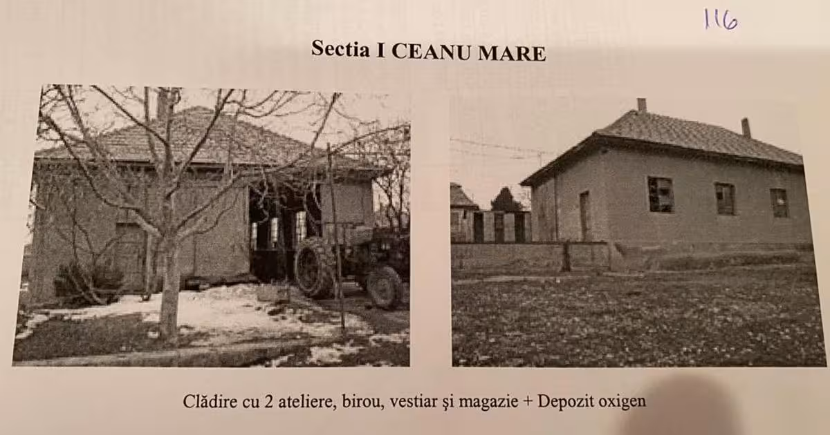 Teren Construcții intravilan de vânzare de 8090 mp, în Ceanu Mare