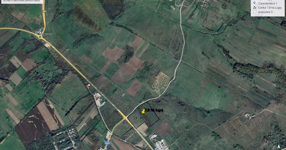 Teren Construcții intravilan de vânzare de 76000 mp, în Lugoj