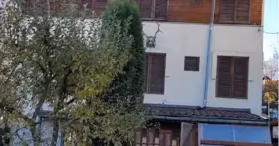 Casă Bușteni