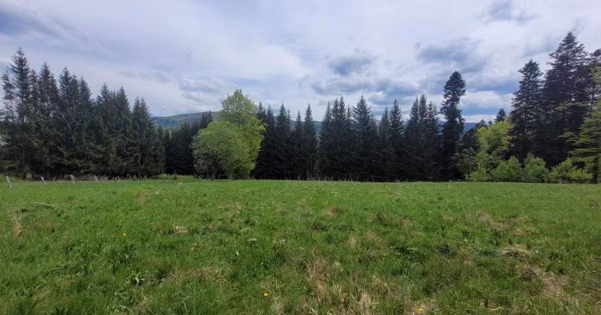 Teren Construcții intravilan de vânzare de 2300 mp, în Bușteni
