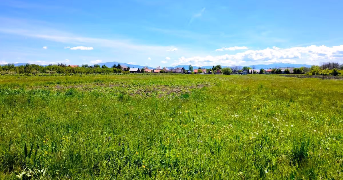Teren intravilan de vânzare de 5000 mp, în Hărman